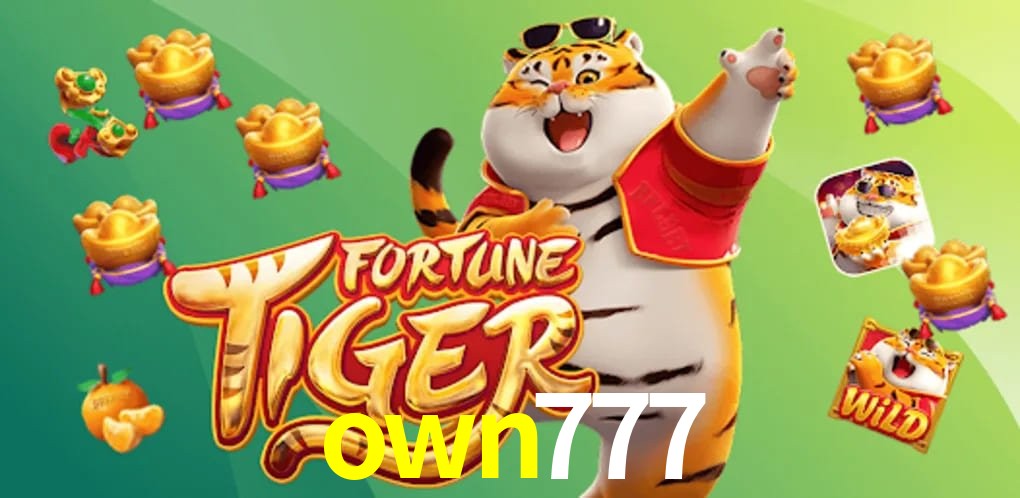 Basketball Betting own777