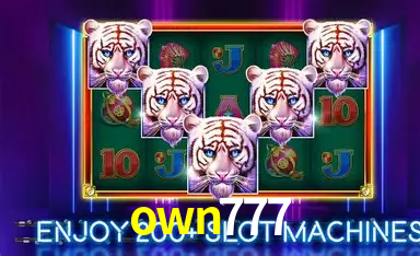 Security Systems own777